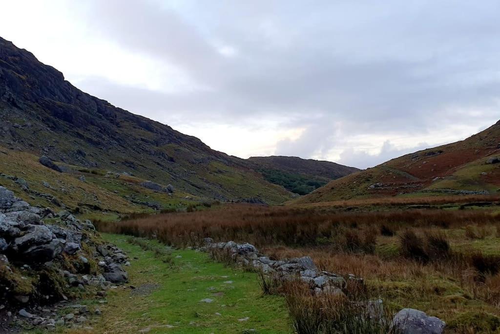 Secluded Cottage Nestled In The Beara Peninsula Killarney Exterior photo
